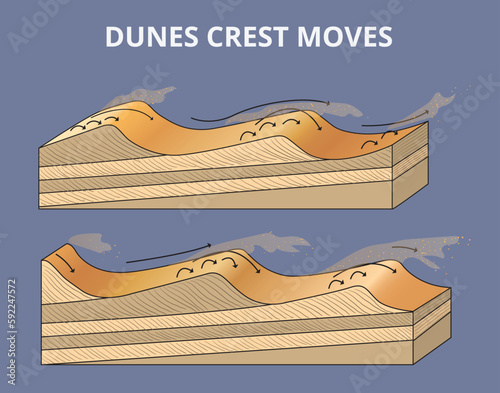 The dunes crest moves infographic