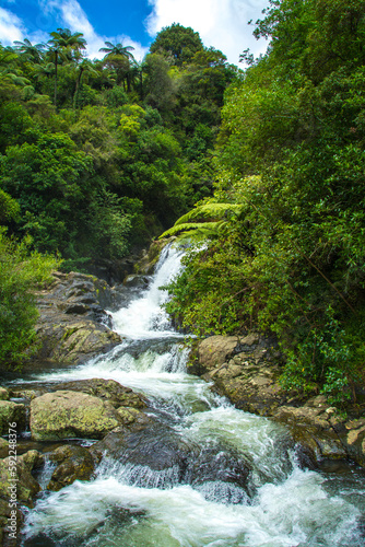Fototapeta Naklejka Na Ścianę i Meble -  Beautiful cascade waterfall hidden in a forest. Adventure and travel concept. Nature background. Kaiate Falls, Bay of Plenty, New Zealand