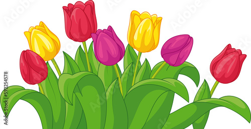 Illustration of cartoon spring tulips #592254578