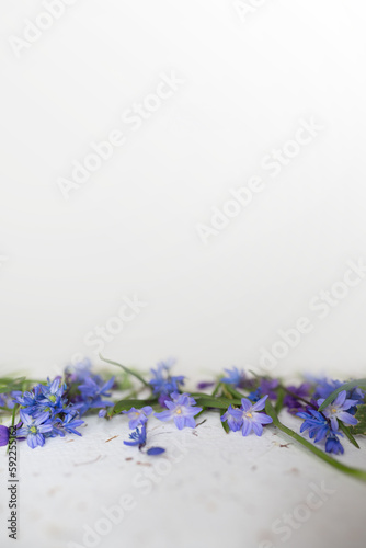 Fototapeta Naklejka Na Ścianę i Meble -  Tło z wiosennymi kwiatami w odcieniach błękitu i fioletu. Kwiaty na papierze czerpanym.