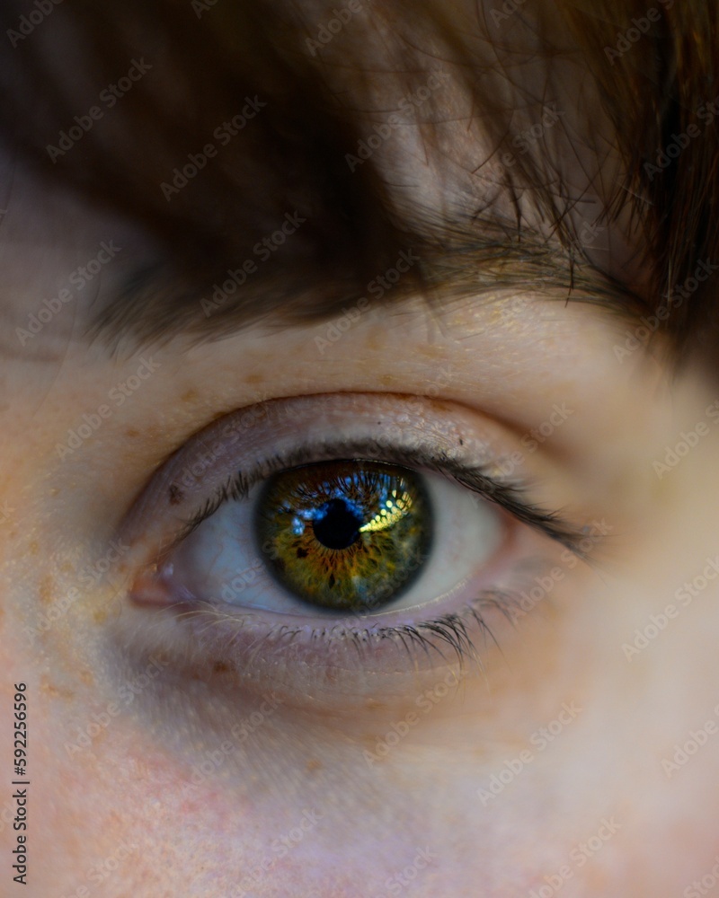 Macro of a beautiful green eye of a ginger girl with freckles Macro of a beautiful green eye of a ginger girl with freckles