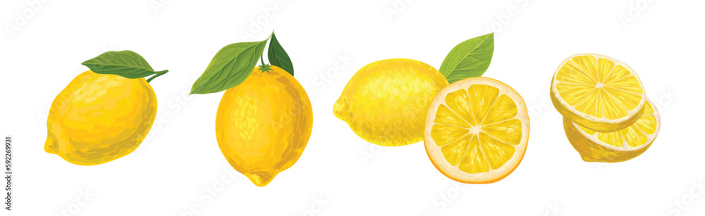 Lemon Citrus Fruit with Green Leaf Vector Set