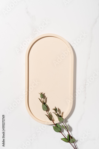 Beauty cosmetics product presentation flat lay mockup scene made with beige oval shape and eucalyptus branch. Vertical studio photography.