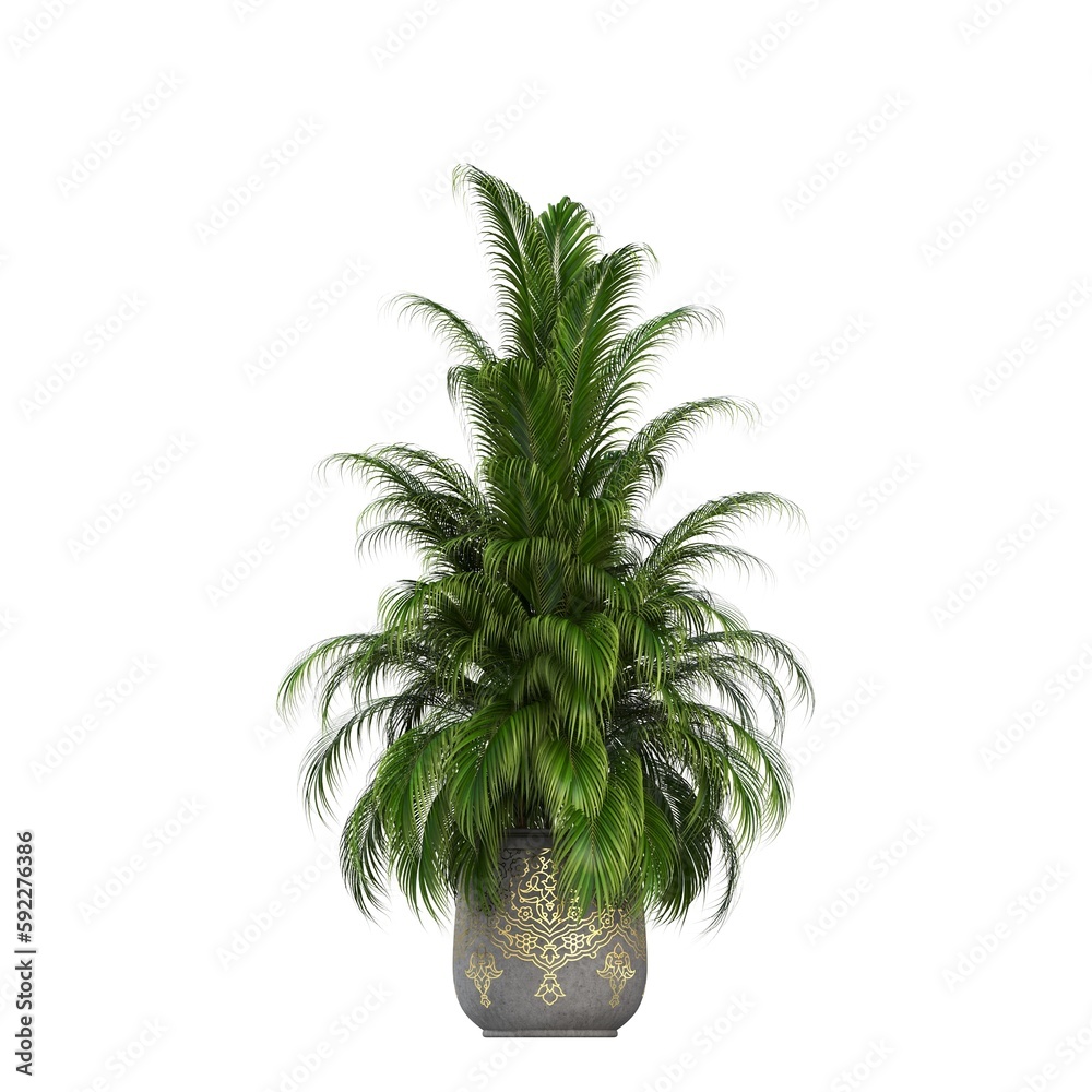 Obraz premium decorative flowers and plants for the interior, isolated on white background, 3D illustration, cg render