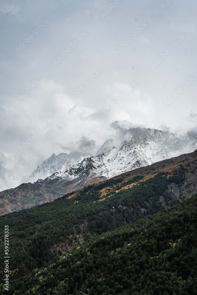 View of autumn fyellow-green forest with snow covered mountain peaks in the clouds