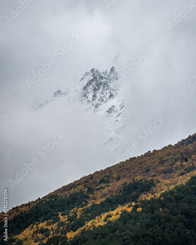 View of autumn fyellow-green forest with snow covered mountain peaks in the clouds