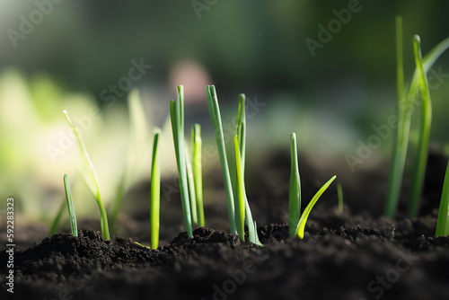 Green onions grow from seeds. Seedlings, fresh herbs, bio product, generative AI