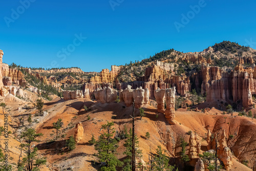 Panoramic aerial view on sandstone rock formations on Navajo Rim hiking trail in Bryce Canyon National Park, Utah, UT, USA. Looking at pine tree forest and hoodoo rocks in unique natural amphitheatre