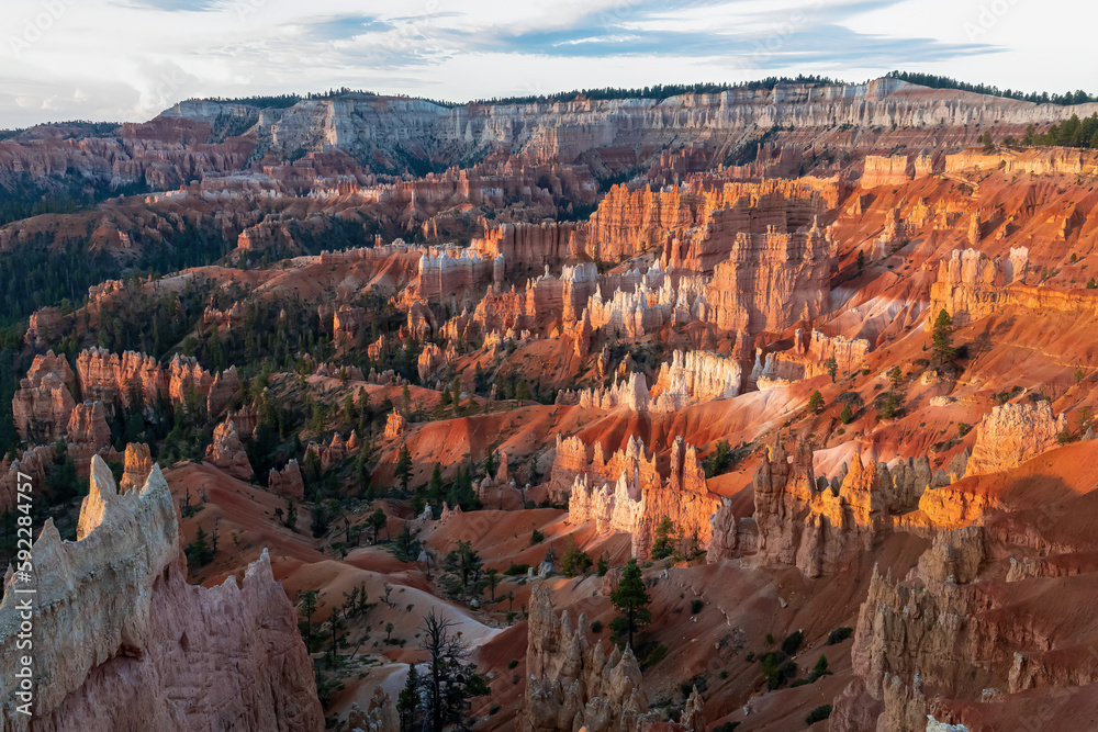 Panoramic aerial morning sunrise view on sandstone rock formations on Navajo Rim hiking trail in Bryce Canyon National Park, Utah, USA. Golden hour colored hoodoo rocks in unique natural amphitheatre