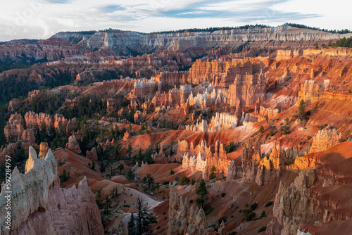Panoramic aerial morning sunrise view on sandstone rock formations on Navajo Rim hiking trail in Bryce Canyon National Park, Utah, USA. Golden hour colored hoodoo rocks in unique natural amphitheatre