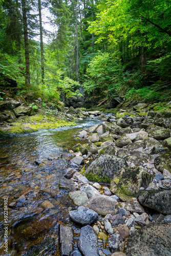A wild stream rushes through the Bavarian Forest, carving its way through rocky terrain and providing a thriving habitat for diverse flora and fauna.