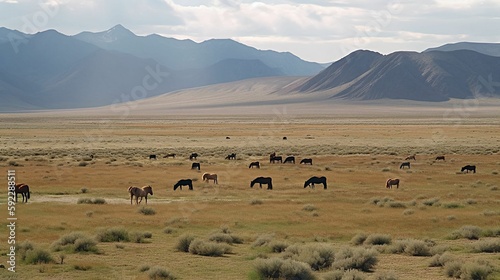 A herd of grazing wild horses on a vast plain  with mountains in the distance.