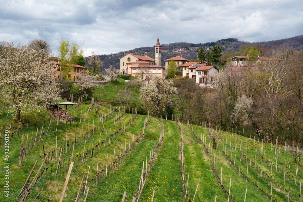 Rural landscape in Brianza in the park of Curone and Montevecchia