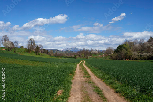 Rural landscape in Brianza near Usmate and Lomagna