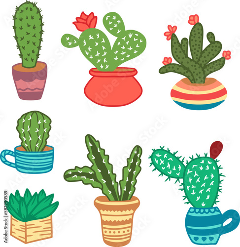 Cactus succulent bundle