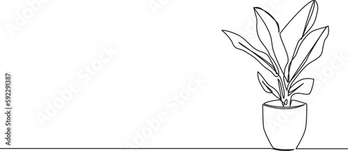 continuous single line drawing of potted plant, line art vector illustration