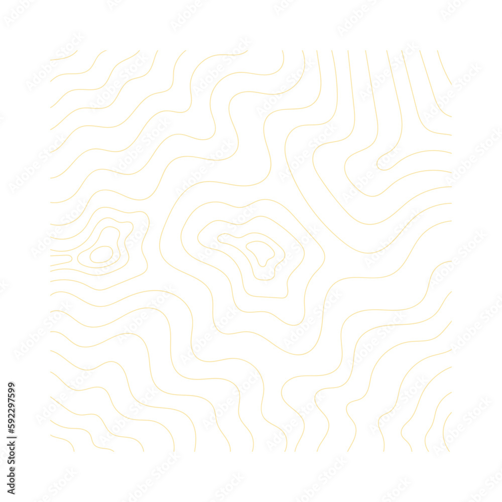 Obraz premium Topography Pattern Lines