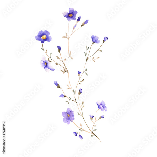 Watercolor illustration. Field flower on a branch with leaves and purple buds. Illustration for design creation