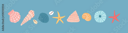 Set of colorful sea shell, starfishes on a blue background. Hand drawn vector illustration. Flat cartoon style. Summer vacation collection, tropical beach shells.