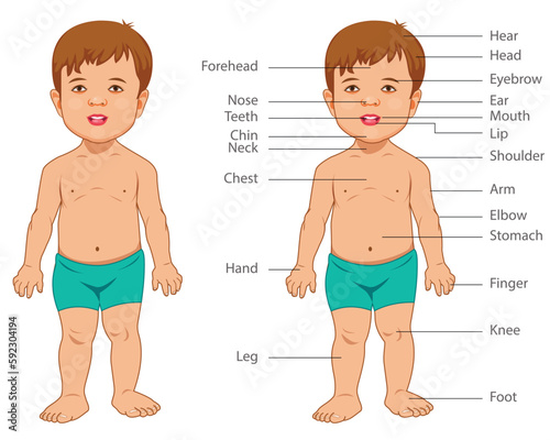 KID Body Parts, happy cute kid boy body part anatomy