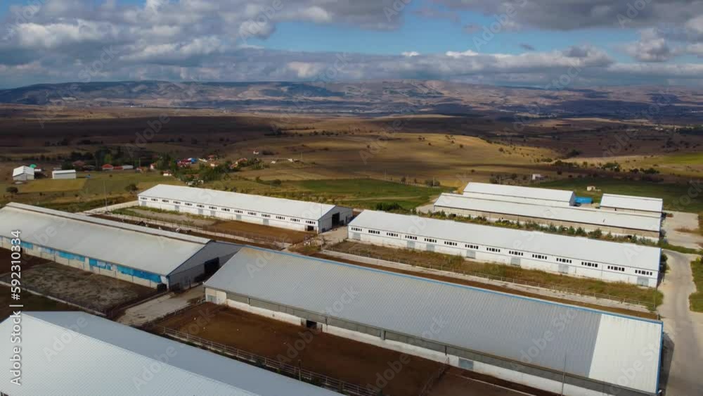big modern cow farm, shooting with drone from outside big modern cow farm, shooting with drone from outside