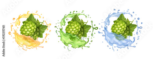 Fresh hop plants cones and green leaves in splash. Craft beer , water or hops alcohol drink. Realistic 3d vector