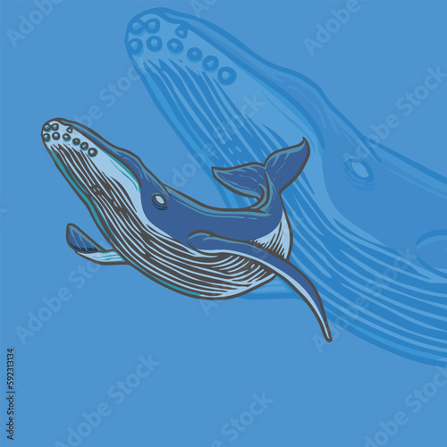 whale illustration for logo and tshirt design 01 (ID: 592313134)