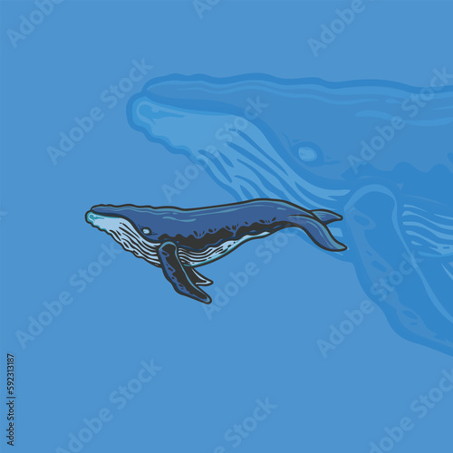 whale illustration for logo and tshirt design 03 (ID: 592313187)