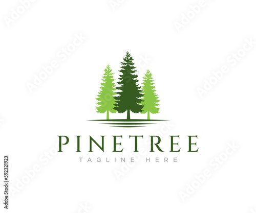 Pines Trees Logo Design Template, Vector Illustration