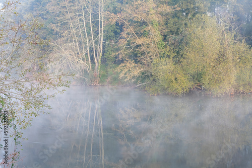 Misty river dawn