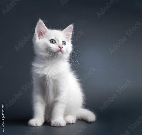 Cute cat, a white kitten posing in a studio against a gray background. Generative AI