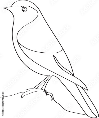 bird perched on tree trunk. Continuous one line drawing