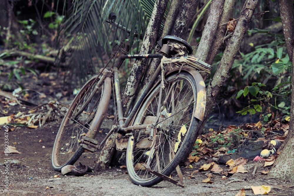 A useless vintage bicycle found in munroethuruthu