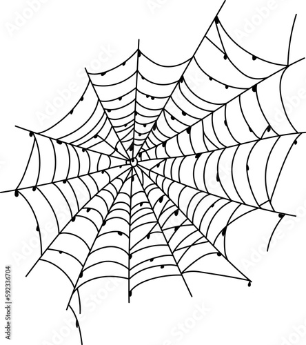 Scary spider web isolated. Spooky Halloween decoration. Outline cobweb illustration