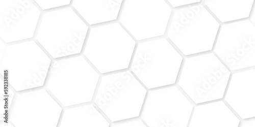 Abstract background with hexagons with hexagon concept design abstract technology background. abstract background with lines, white texture background, hexagon abstract background.