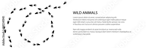 Trace of forest animal banner, raccoon mammal footprint, vector illustration