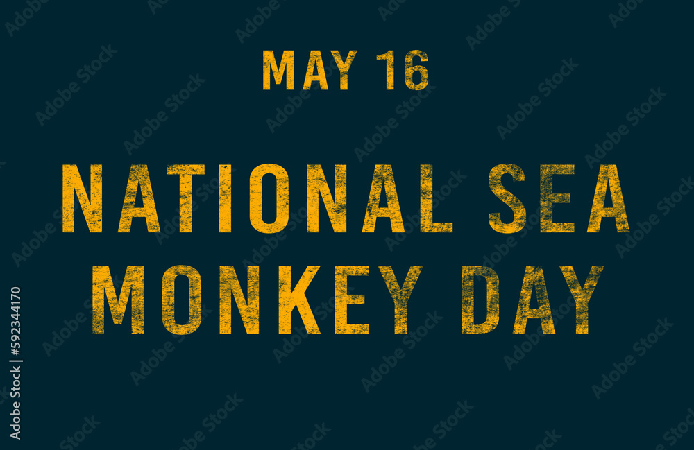 Happy National Sea Monkey Day, May 16. Calendar of May Text Effect, design Happy National Sea Monkey Day, May 16. Calendar of May Text Effect, design