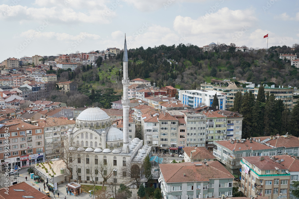Fototapeta premium Mosque in residential area in Istanbul