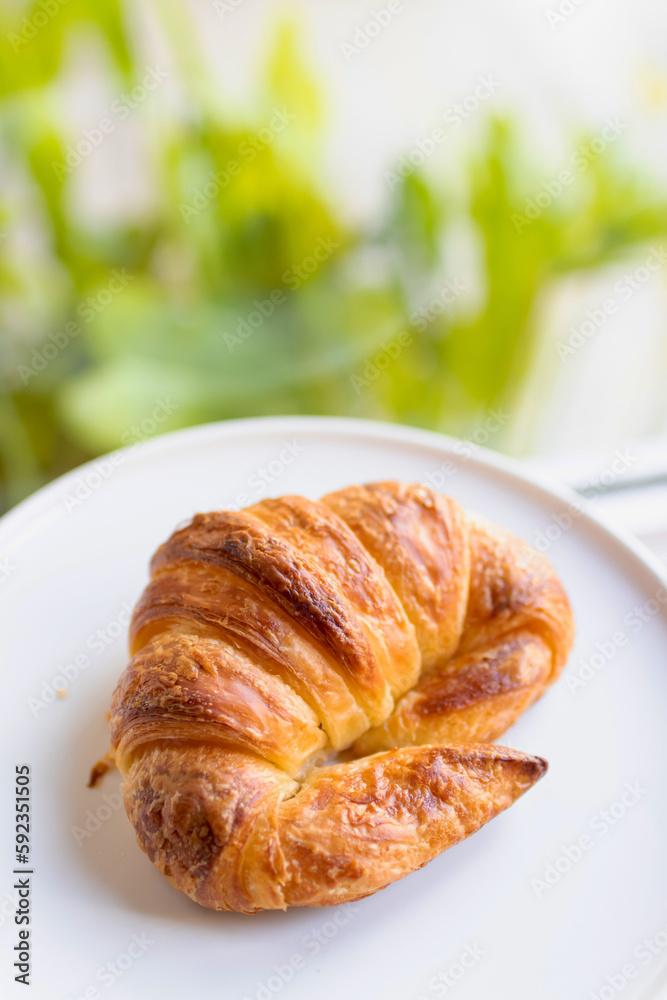 French croissant on plate on wooden table and nature sunlight with shadow through from window. French croissant on plate on wooden table and nature sunlight with shadow through from window.