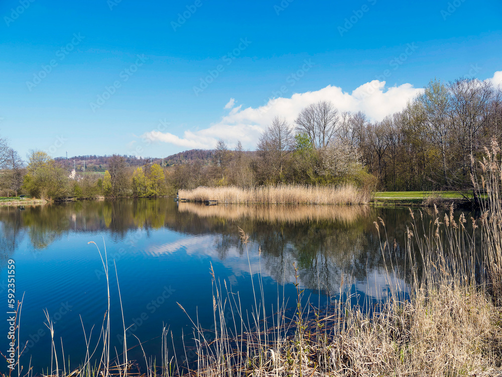Grüttsee in Lörrach. Ruhige Wasser des kleinen Sees