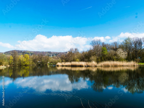Grüttsee in Lörrach. Ruhige Wasser des kleinen Sees, hölzerner Ponton umgeben von Schilf und frühlingsblühenden Bäumen 