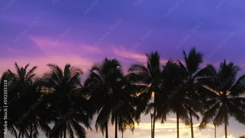 Cinematic RED camera shot of luxury resort on Waikiki, Oahu Hawaii island, USA summer trip. Tropical beach with dark palm trees silhouette in vibrant colorful pink purple sunset or sunrise background Cinematic RED camera shot of luxury resort on Waikiki, Oahu Hawaii island, USA summer trip. Tropical beach with dark palm trees silhouette in vibrant colorful pink purple sunset or sunrise background