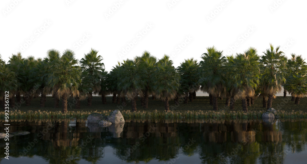 tropical jungle on the river bank on a transparent background, 3D illustration, cg render
