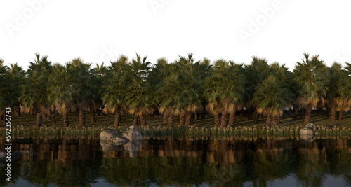 tropical jungle on the river bank on a transparent background, 3D illustration, cg render 