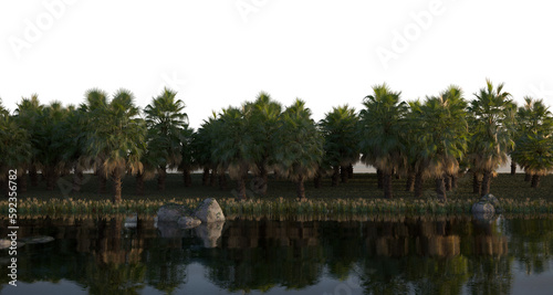 tropical jungle on the river bank on a transparent background  3D illustration  cg render 