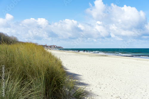 Fototapeta Naklejka Na Ścianę i Meble -  Sand dunes with beach grass at Baltic Sea near the town of Kuehlungsborn with a view of the blue sea and blue sky on a sunny day