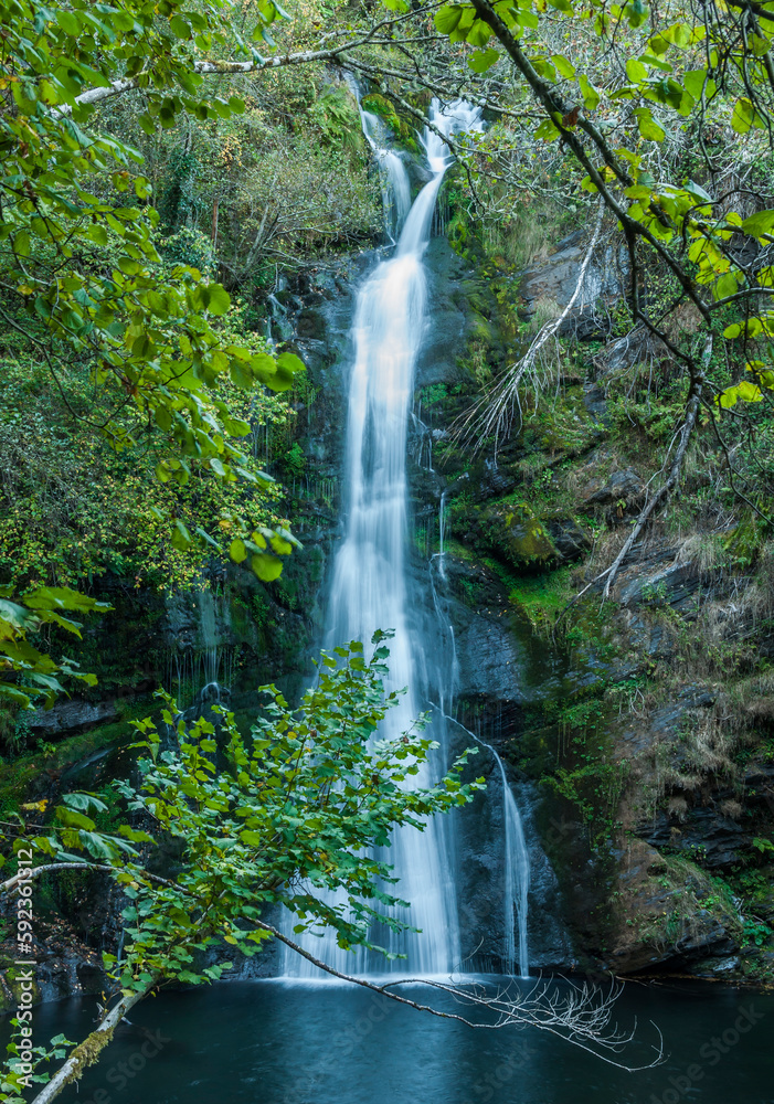 Fototapeta premium Cascada en el bosque