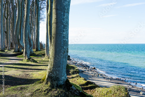 View from the Cliff at the coast on the Baltic Sea close to Heiligendamm  a beautiful day in spring on the cliffs 