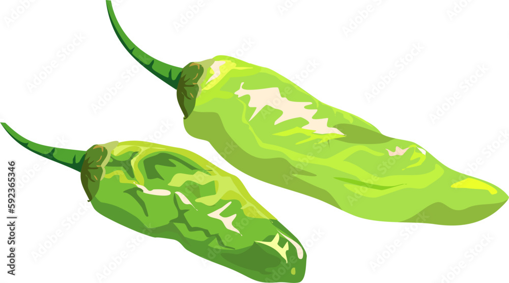 Green spicy cayenne pepper chili vector isolated