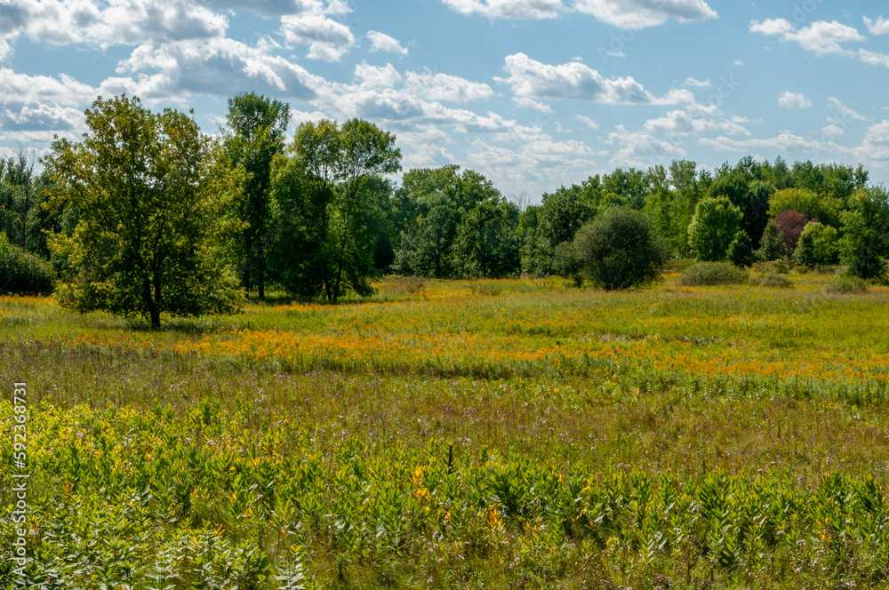 Prairie Planting At UWGB Cofrin Memorial Arboretum, Green Bay, Wisconsin Prairie Planting At UWGB Cofrin Memorial Arboretum, Green Bay, Wisconsin